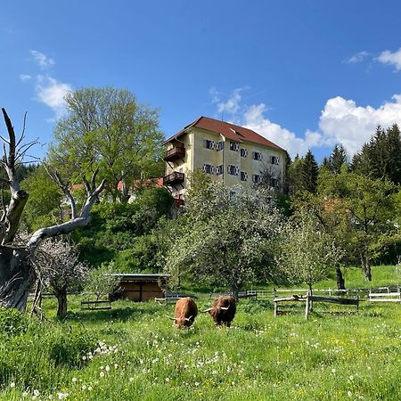 Hotel Landsitz Pichlschloss Neumarkt in Steiermark Esterno foto