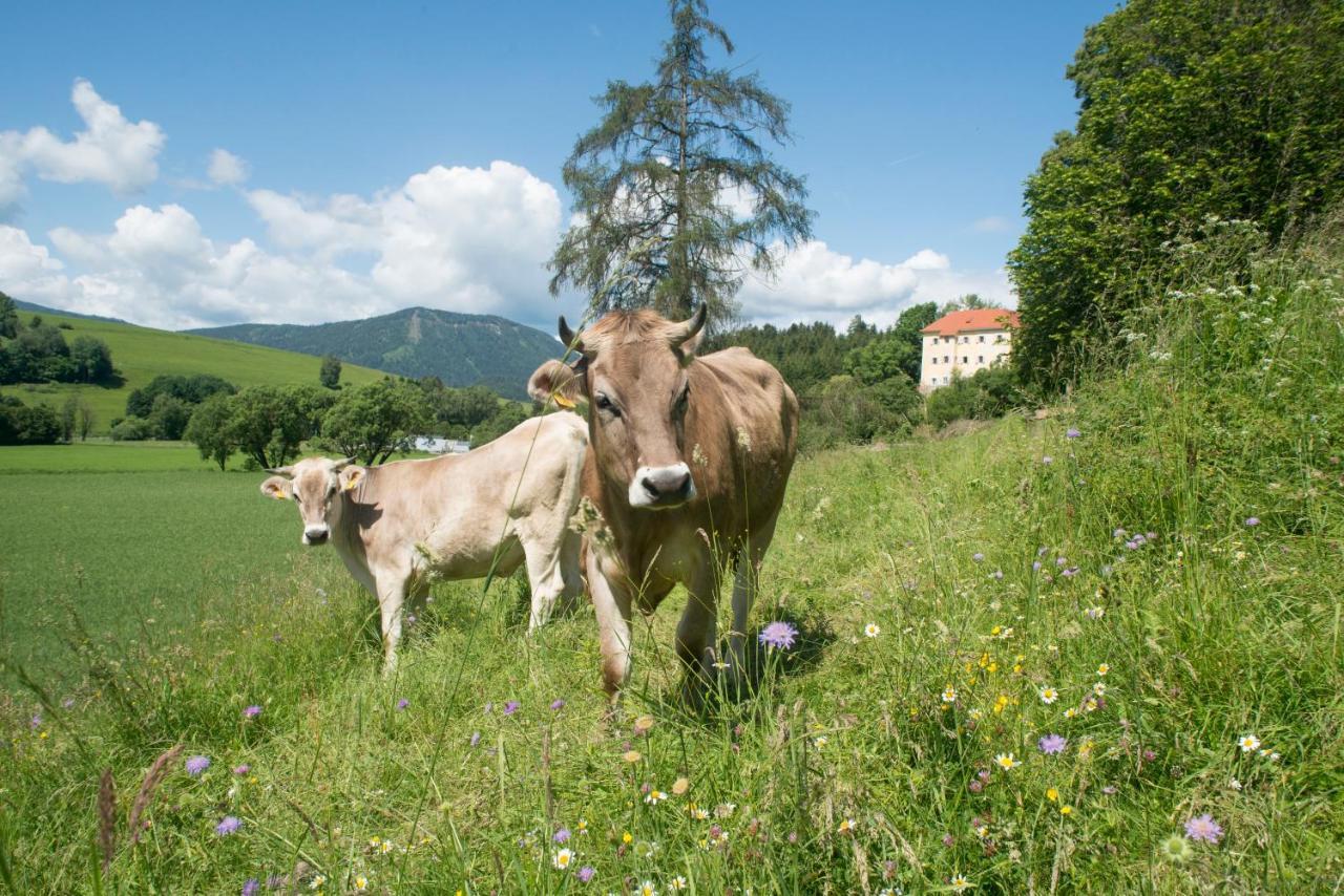 Hotel Landsitz Pichlschloss Neumarkt in Steiermark Esterno foto